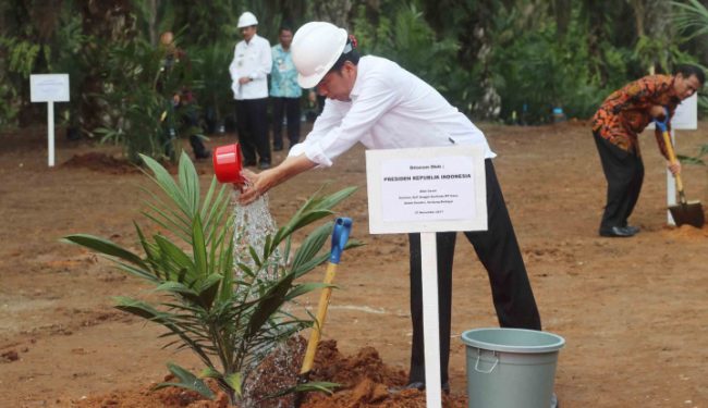 nasional_2017_11_27_185506_big