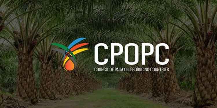 r8CM4qacytvkGcGwlDlsfavPy4rXQZjKH2Z-XaBRX2k-2