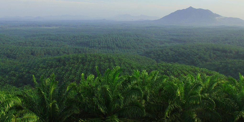 pemetaan rantai pasok