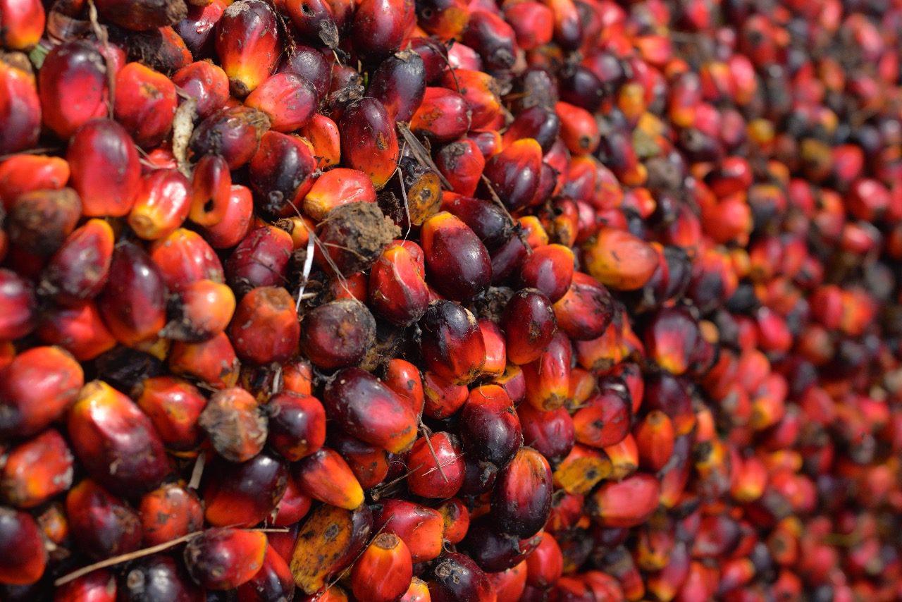 WhatsApp Image 2020-03-05 at 14.37.31 (1)