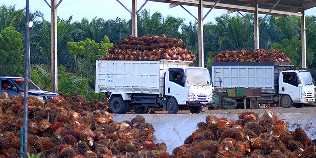 ukuran slider website-Sumber Pasokan Yang Bertanggung Jawab