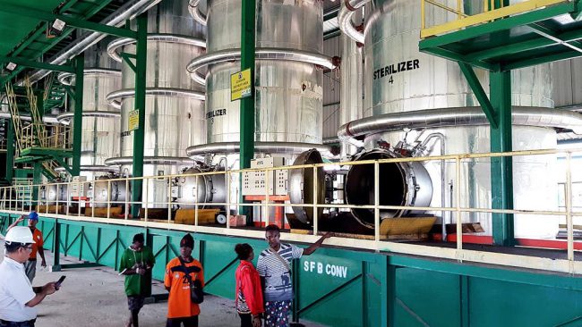 Pabrik Sawit Di Keerom