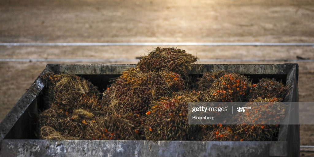 gettyimages-1219236910-1024×1024