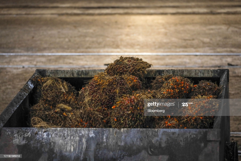 gettyimages-1219236910-1024×1024