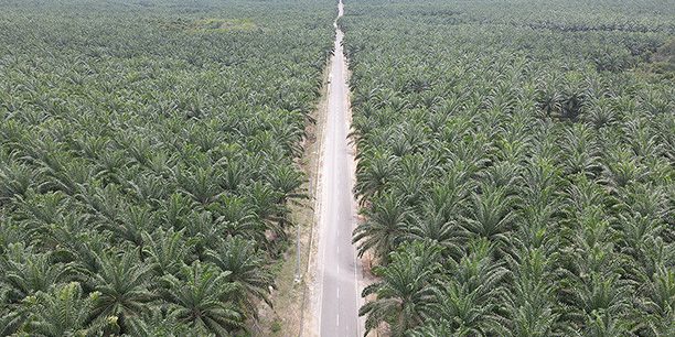 2020_08_07_101893_1596796240._large