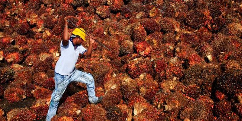 sawit-cpo-reuters-mtb