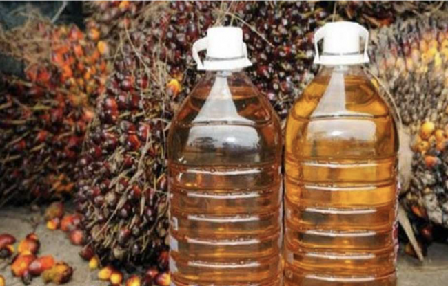 Screen Shot 2021-09-15 at 15.55.49