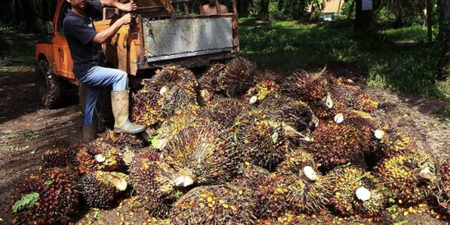 Screen Shot 2021-09-23 at 14.07.10