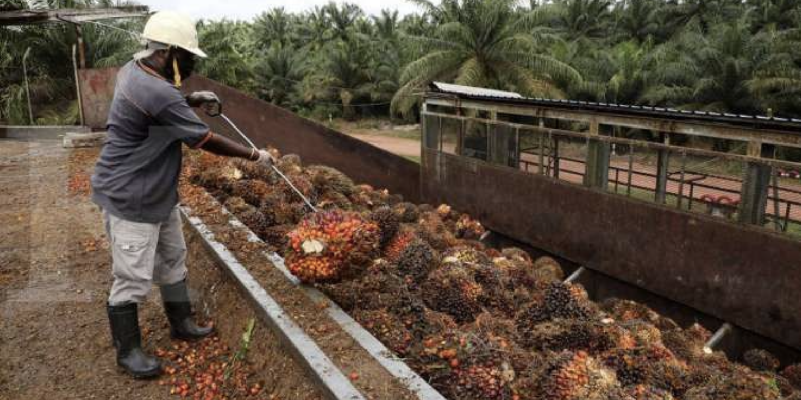 Screen Shot 2021-10-01 at 12.29.54