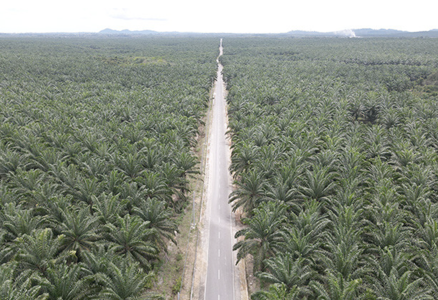 Screen Shot 2021-10-06 at 10.47.13