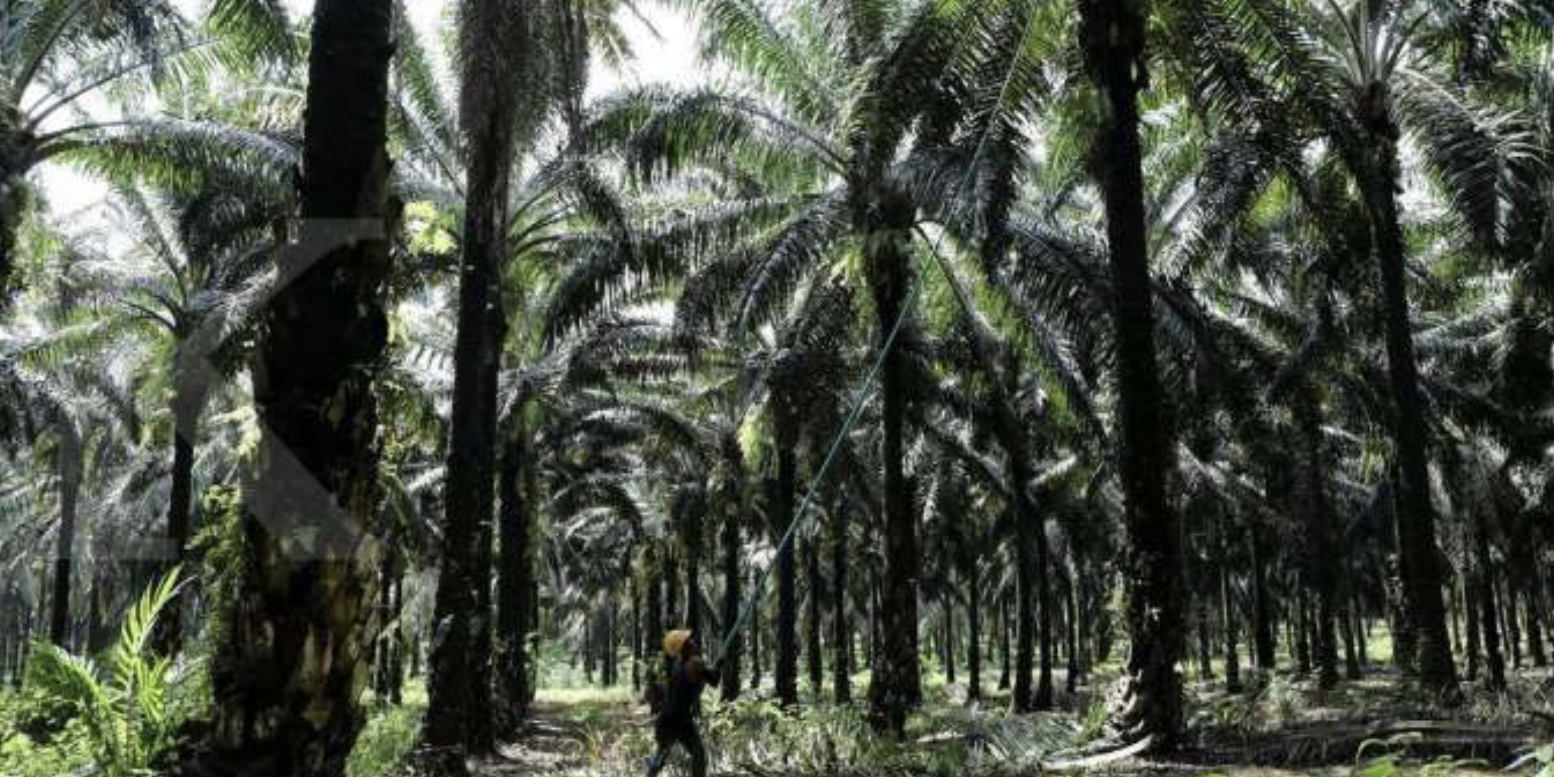 Screen Shot 2021-10-08 at 16.38.04