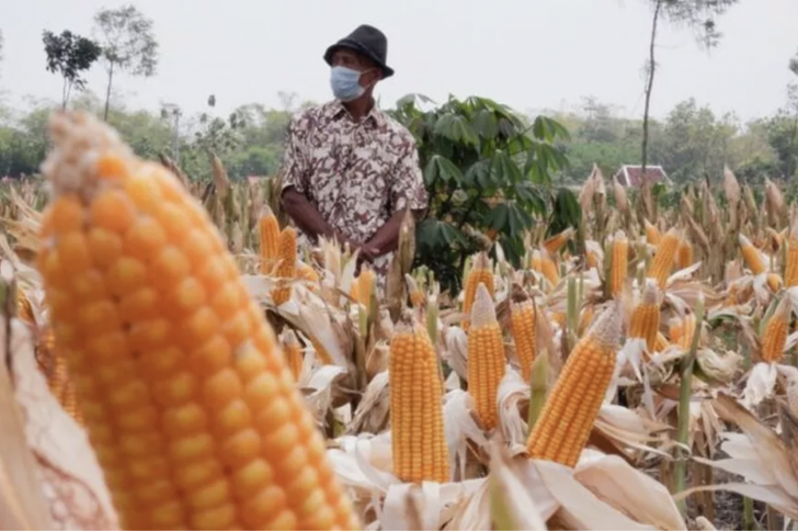 Screen Shot 2021-10-14 at 15.26.40