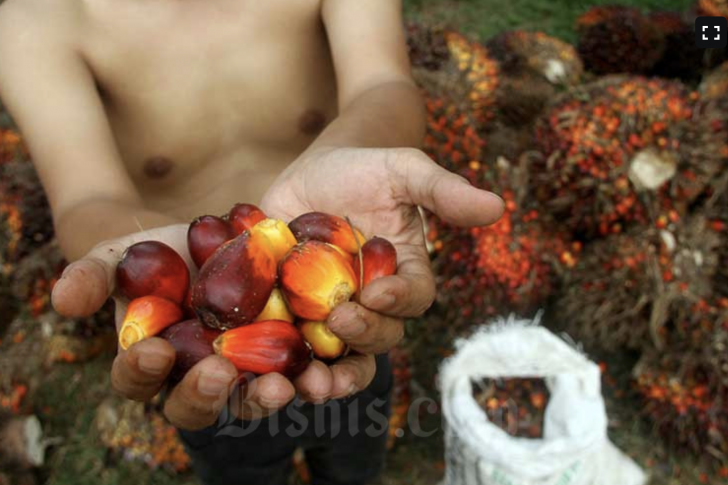 Screen Shot 2021-10-14 at 15.32.15