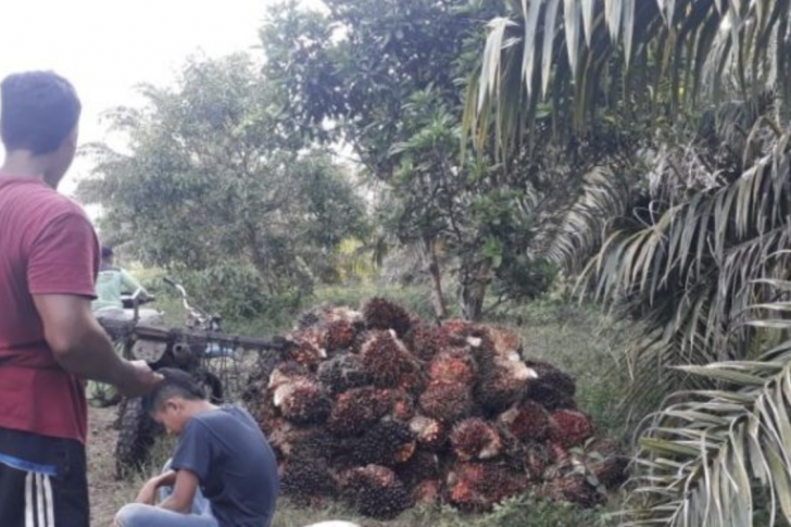 Screen Shot 2021-10-15 at 15.29.01