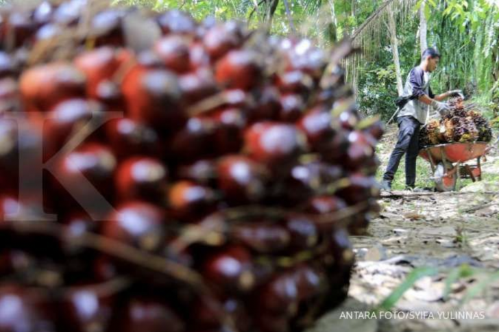 Screen Shot 2021-10-21 at 15.19.00