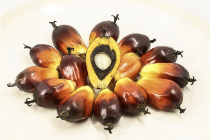 Screen Shot 2021-10-25 at 14.07.30