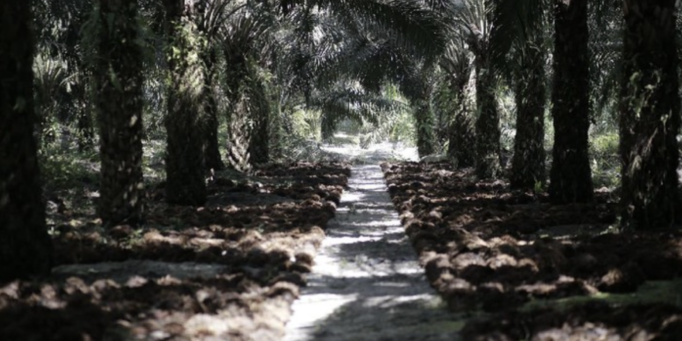 Screen Shot 2021-10-27 at 16.37.31