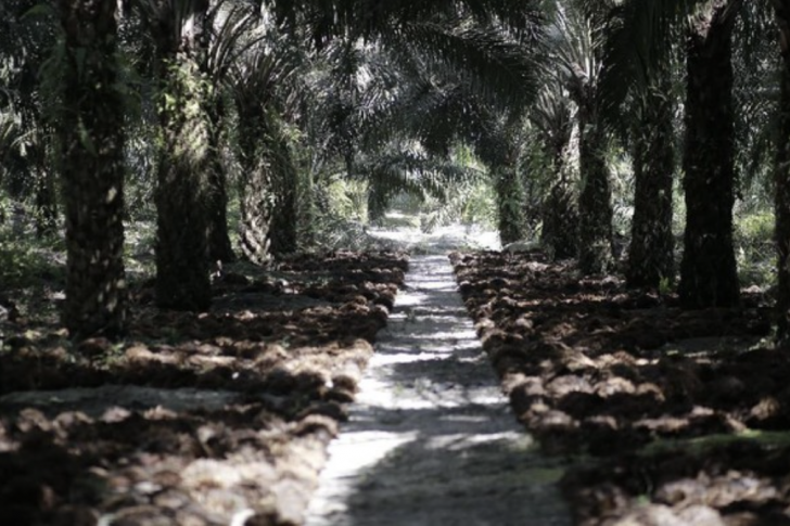 Screen Shot 2021-10-27 at 16.37.31