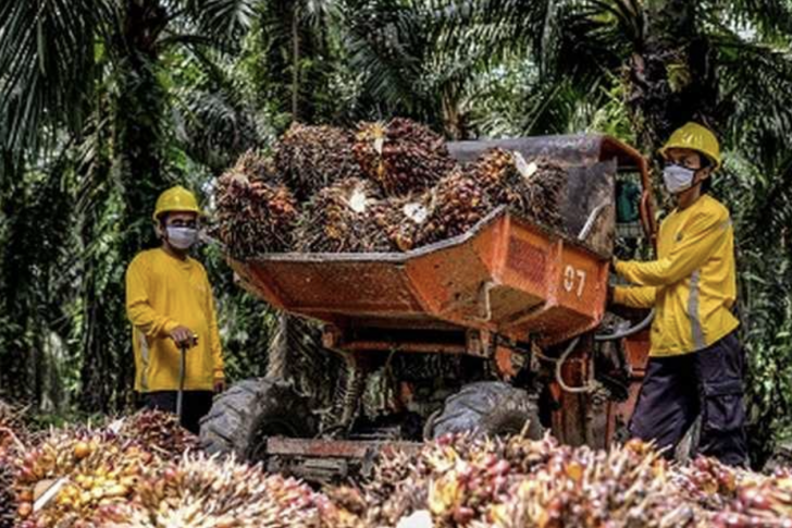 Screen Shot 2021-11-01 at 09.49.36