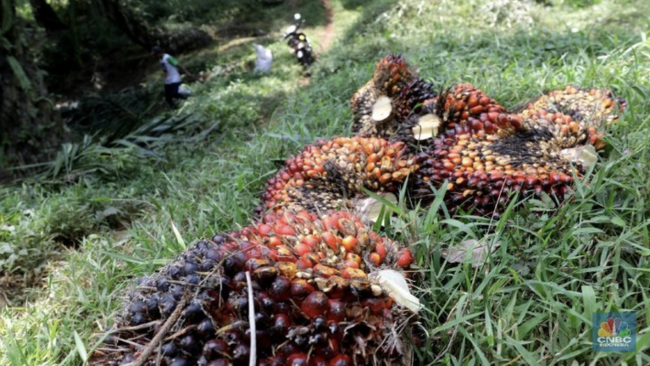 Screen Shot 2021-11-04 at 08.27.06