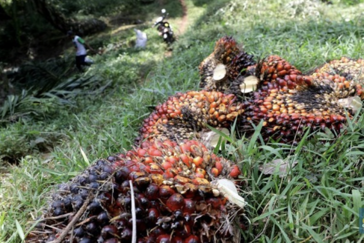 Screen Shot 2021-11-04 at 08.27.06