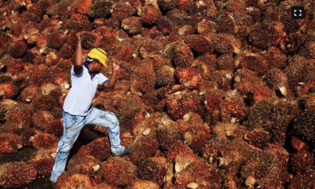 Screen Shot 2021-11-04 at 08.43.07