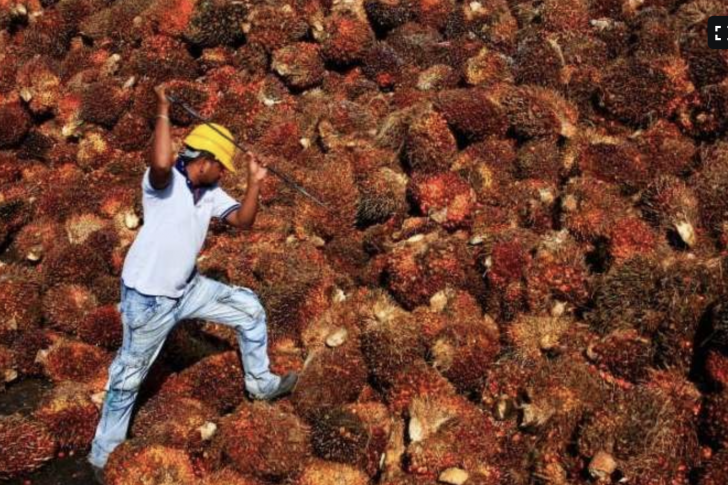 Screen Shot 2021-11-04 at 08.43.07