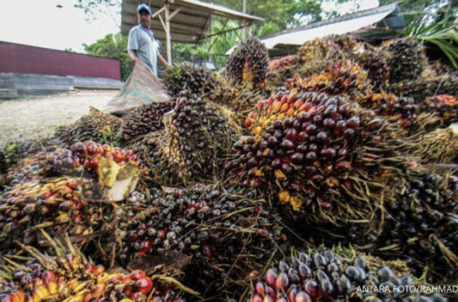 Screen Shot 2021-11-04 at 14.52.22