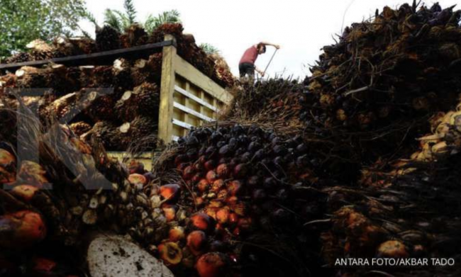 Screen Shot 2021-11-04 at 14.57.17