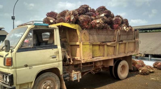 Screen Shot 2021-11-15 at 06.19.29