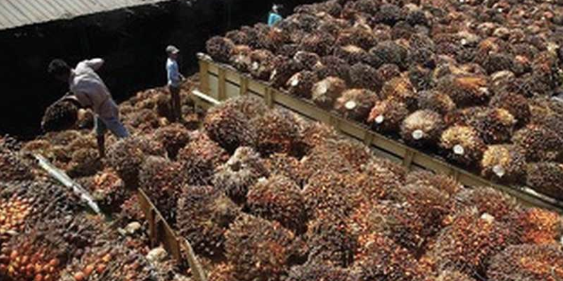 Screen Shot 2021-11-15 at 06.28.32