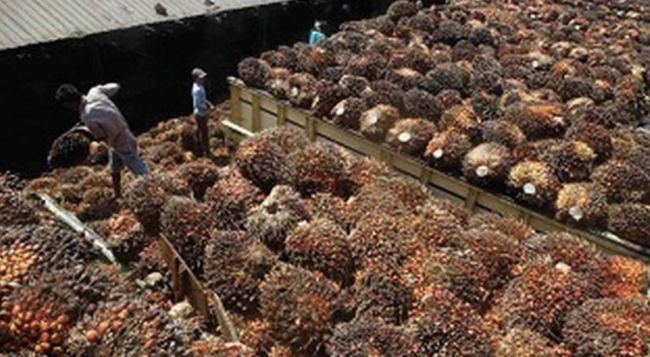 Screen Shot 2021-11-15 at 06.28.32