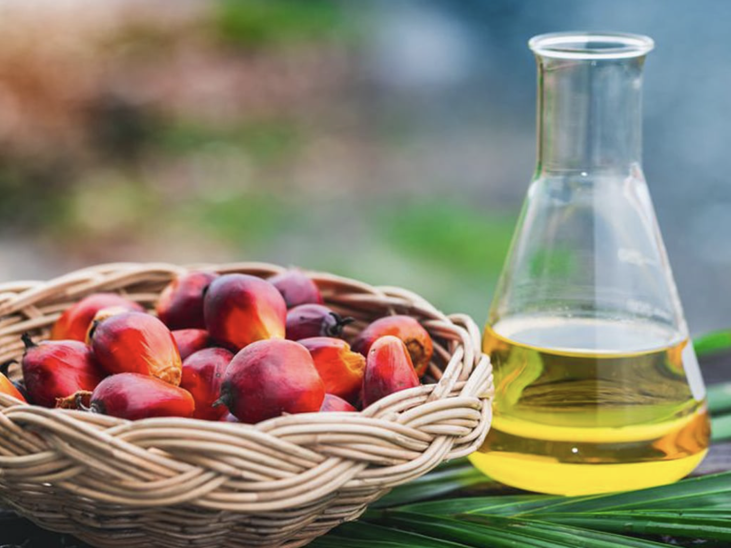 Screen Shot 2021-11-15 at 06.32.32