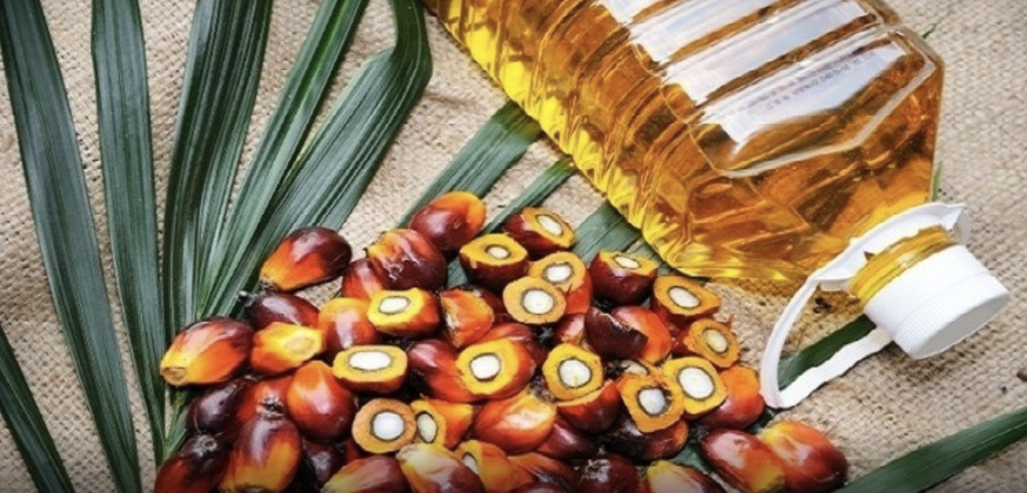 Screen Shot 2021-11-17 at 17.54.40