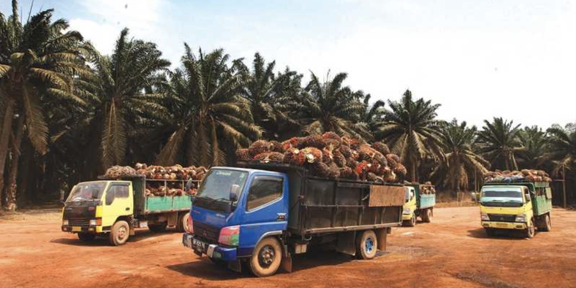 Screen Shot 2021-12-11 at 11.06.58