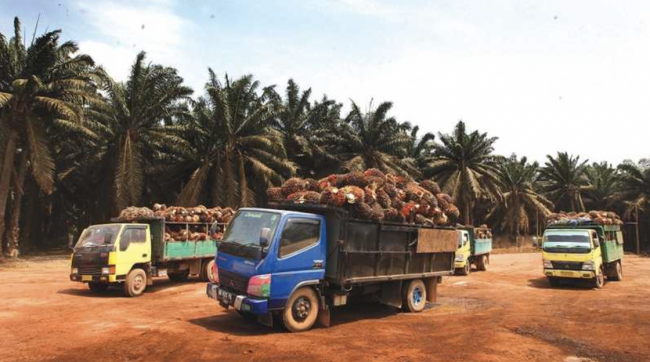 Screen Shot 2021-12-27 at 15.24.16