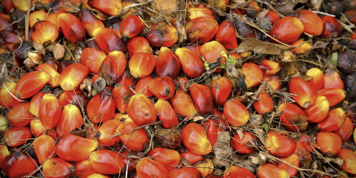 Screen Shot 2021-12-29 at 14.01.41