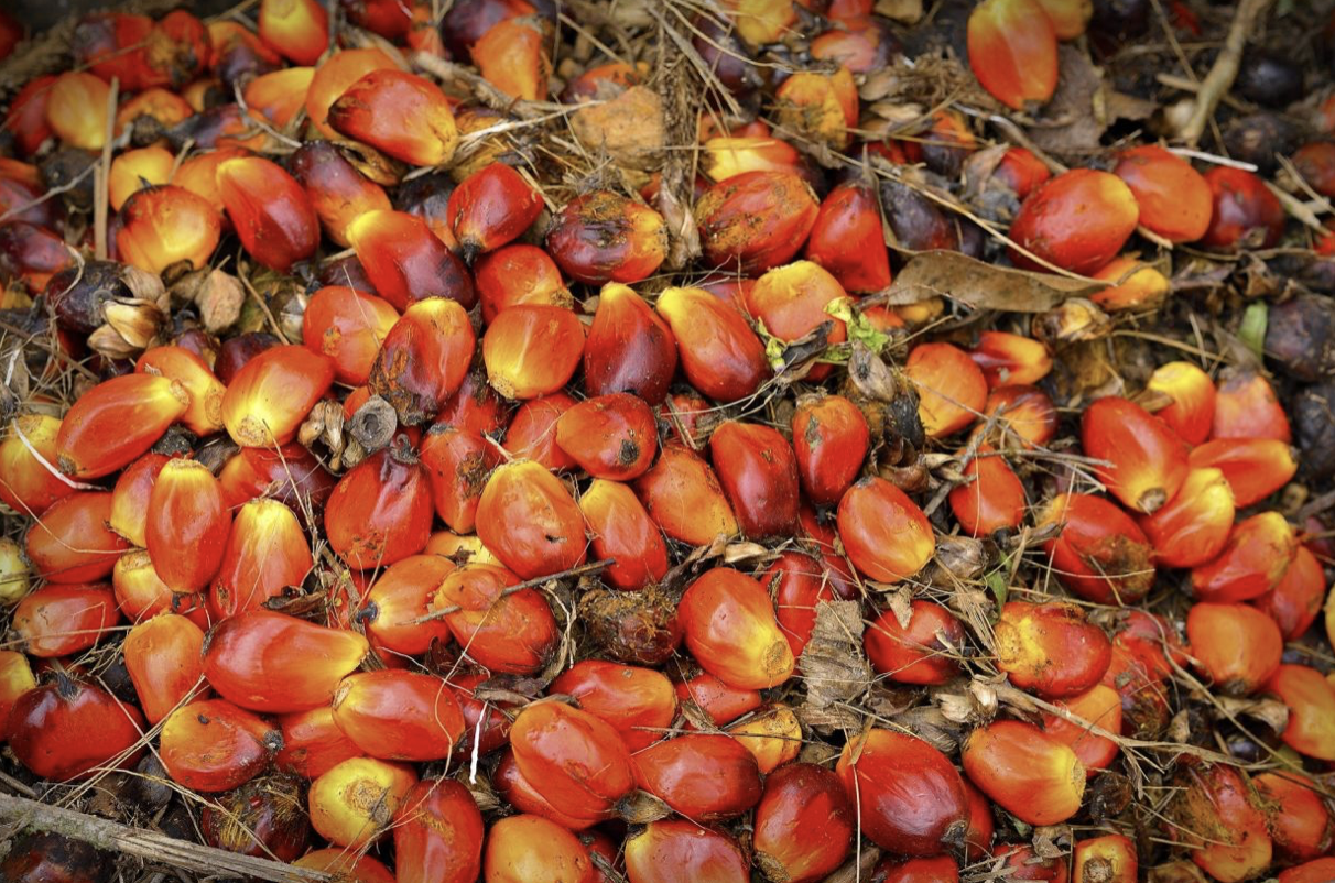 Screen Shot 2021-12-29 at 14.01.41