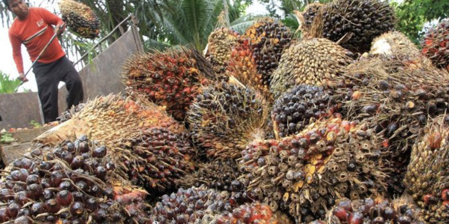 Screen Shot 2022-01-03 at 05.10.37