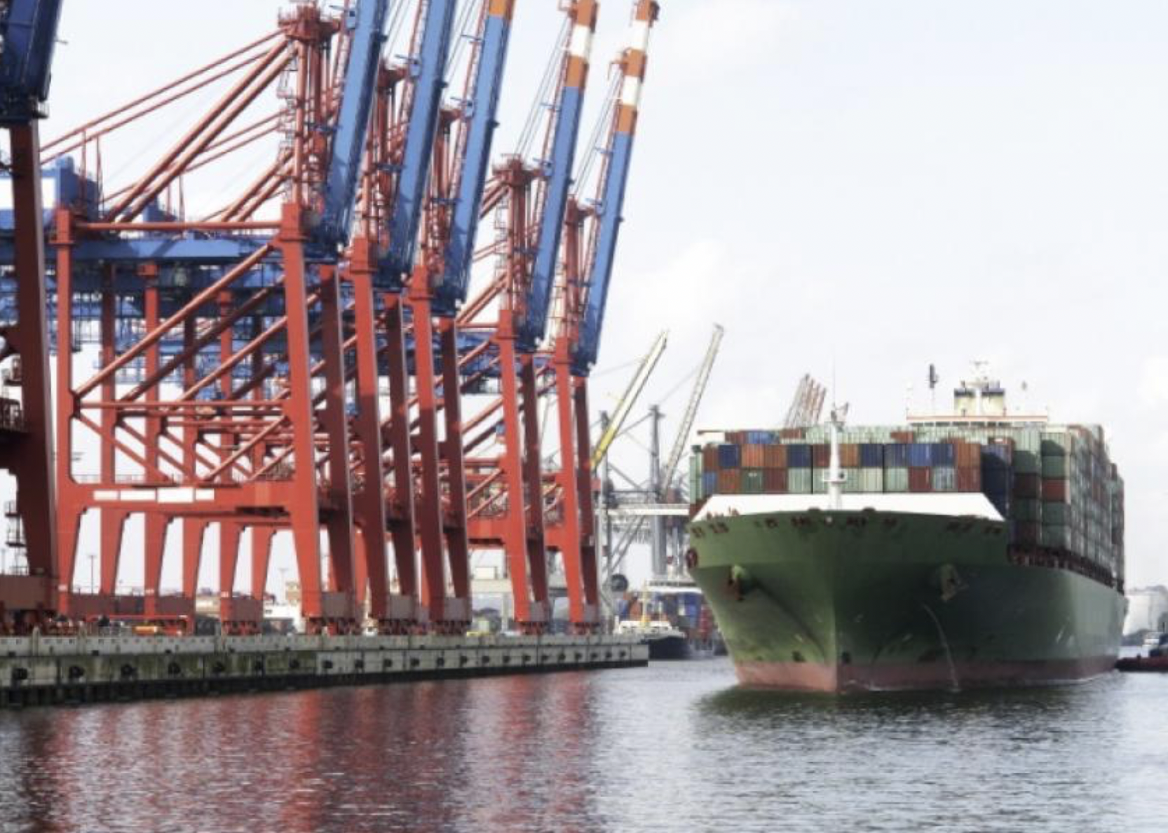 Screen Shot 2022-01-03 at 05.16.59