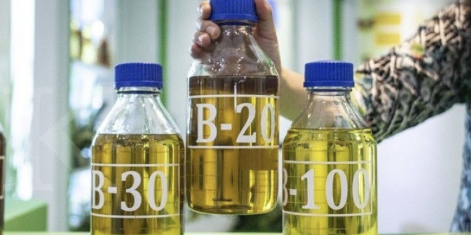 Screen Shot 2022-01-11 at 07.21.04