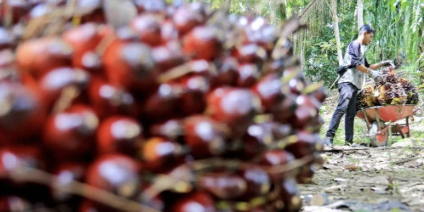 Screen Shot 2022-01-12 at 10.19.59