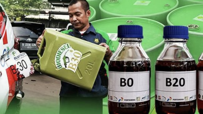 Screen Shot 2022-01-13 at 13.26.52