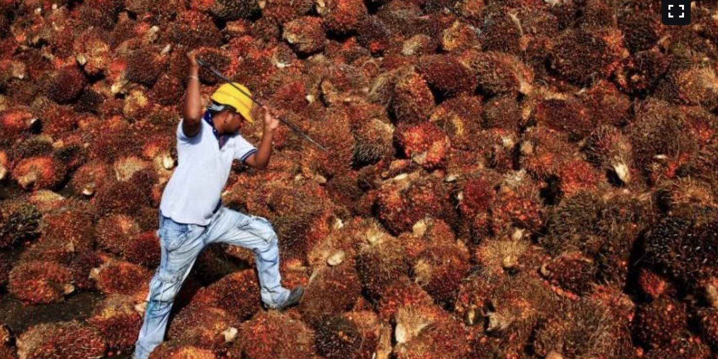 Screen Shot 2022-01-13 at 13.32.21