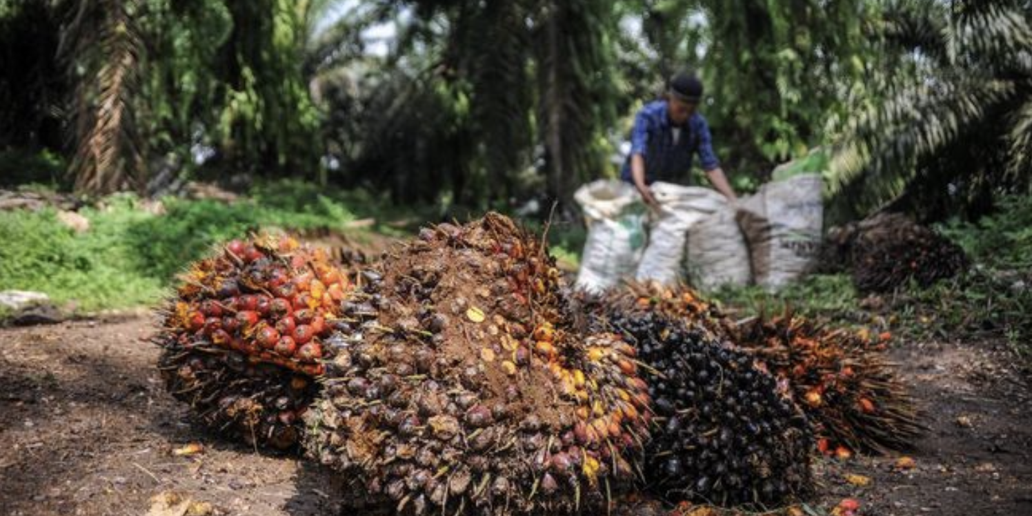 Screen Shot 2022-01-17 at 13.43.58