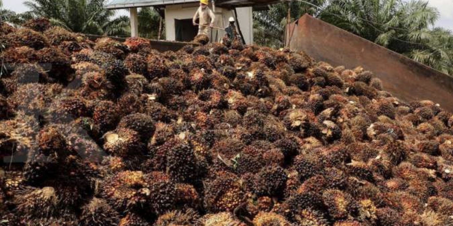 Screen Shot 2022-01-21 at 14.28.02