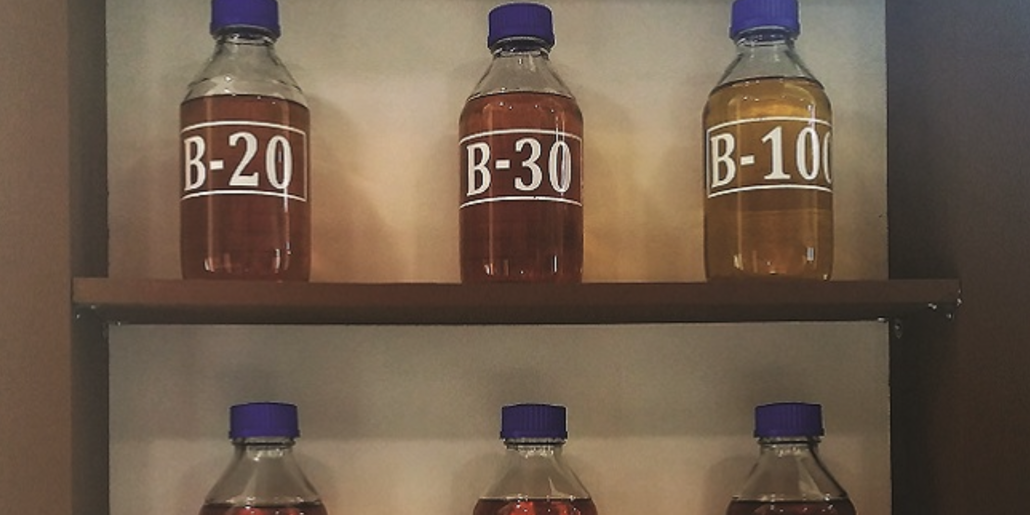 Screen Shot 2022-01-25 at 21.53.01