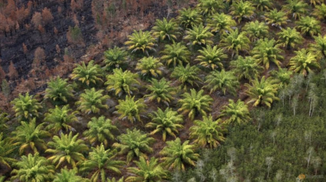 Screen Shot 2022-01-27 at 09.50.46