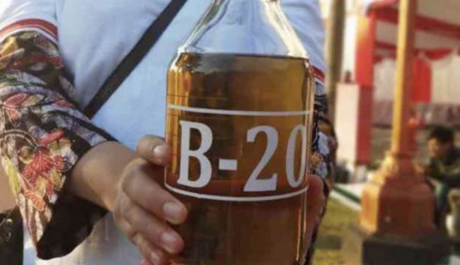 Screen Shot 2022-02-14 at 07.09.34