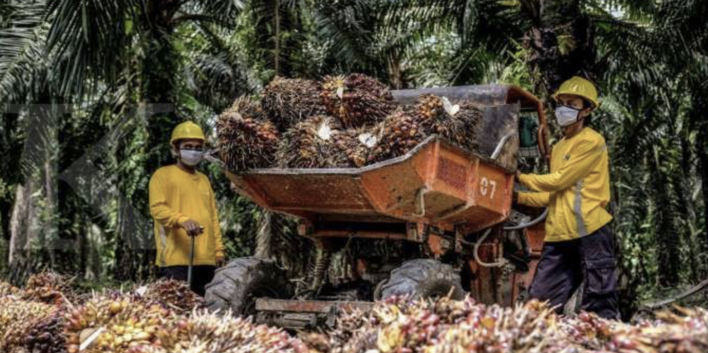 Screen Shot 2022-02-17 at 13.21.05